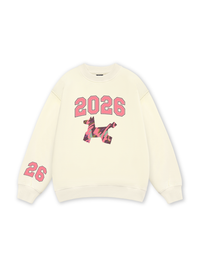 Color Drift Pony Sweater