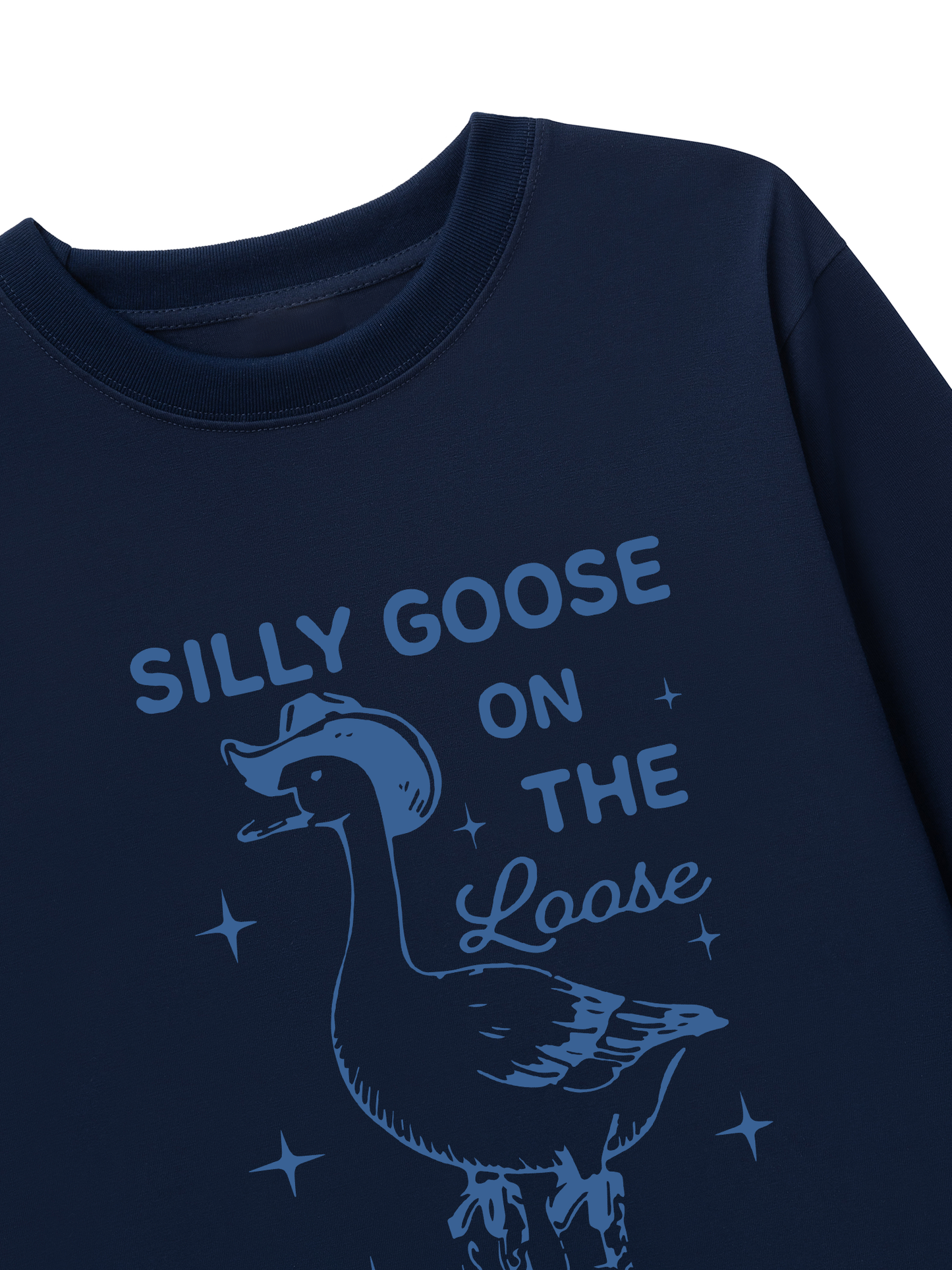 Áo Thun Dài Tay  Silly goose