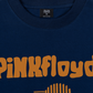 Áo Thun Relaxed Fit Pink Floyd Apples And Oranges