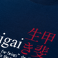 Áo Thun Relaxed Fit Ikigai A Reason For Being