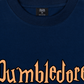 Áo Thun Relaxed Fit Harry Potter Dumbledore