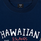 Áo Thun Relaxed Fit Summer Vibes Hawaiian