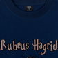 Áo Thun Relaxed Fit Harry Potter Rubeus Hagrid