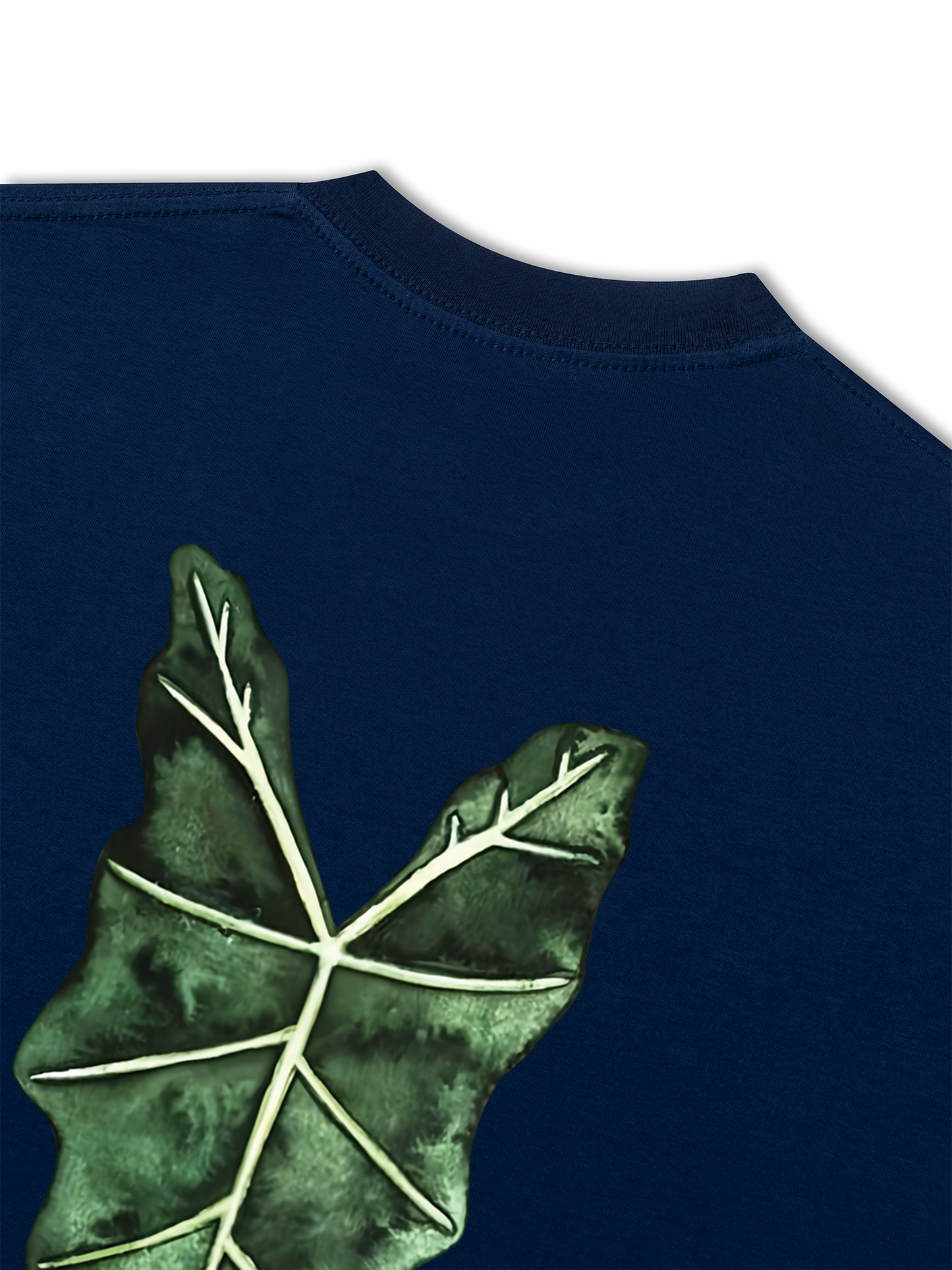 Áo Thun Relaxed Fit TROPICAL Alocasia Leaf