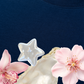 Áo Thun Relaxed Fit Pearl Bloom