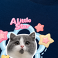 Áo Thun Relaxed Fit Daily Cuties A Little Star