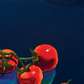 Áo Thun Relaxed Fit Tomato - Bloom & Fruit