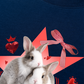Áo Thun Relaxed Fit Daily Cuties Bunny Love Club