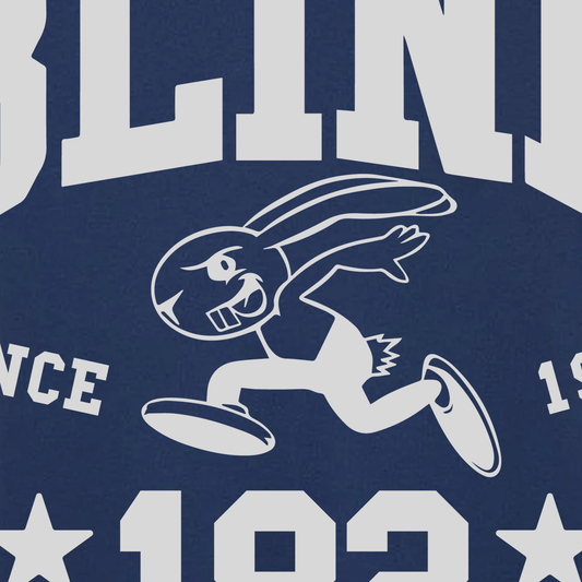 Áo Thun Relaxed Fit Blink 182 Since 1992