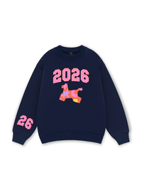 Candy Burst Pony Sweater