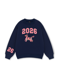Color Drift Pony Sweater