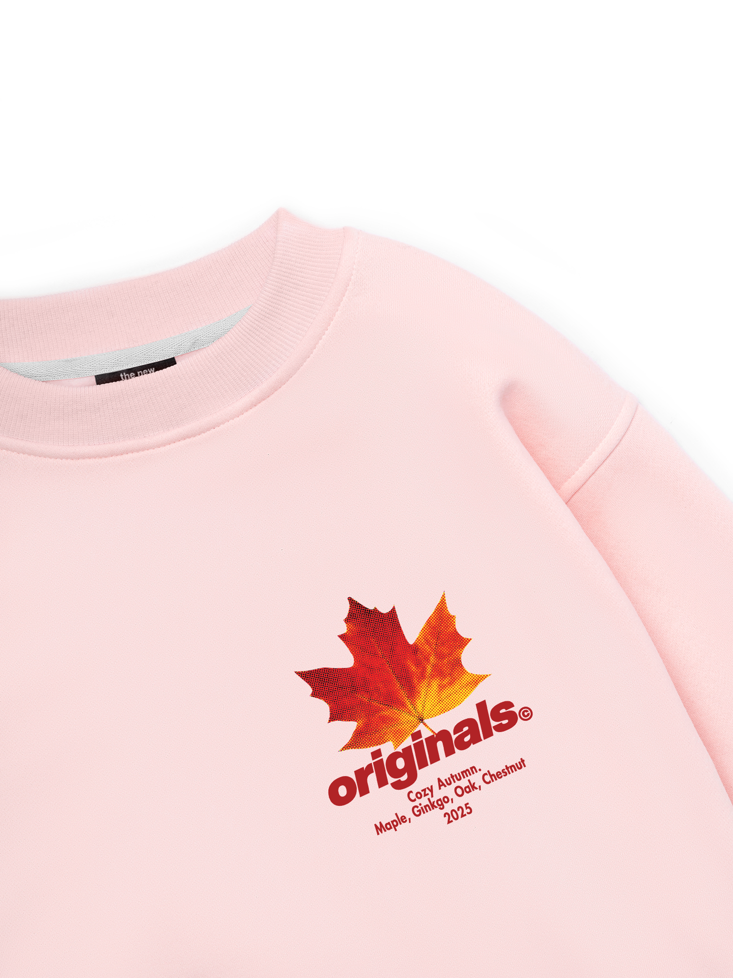 Cozy Autumn Sweater