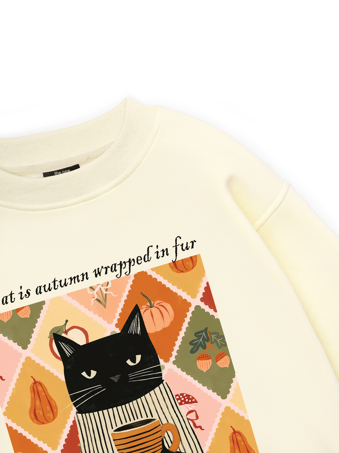 A Cat Sweater