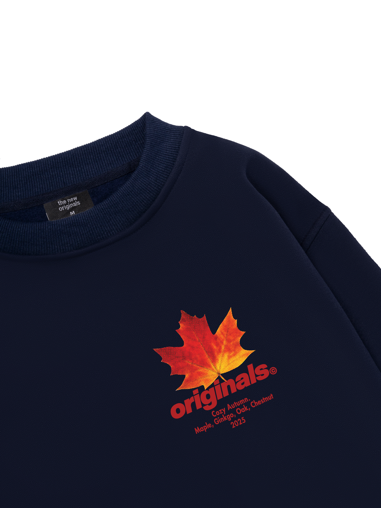 Cozy Autumn Sweater