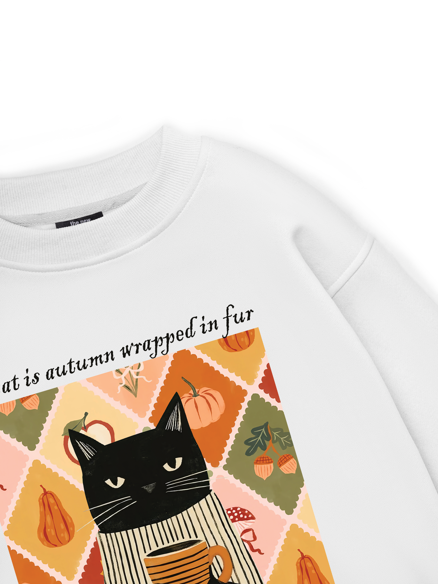 A Cat Sweater