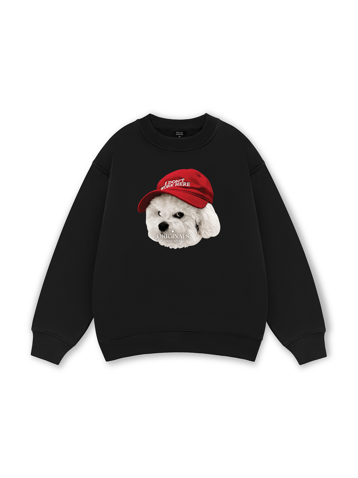 Puppy With Red Hat Sweater