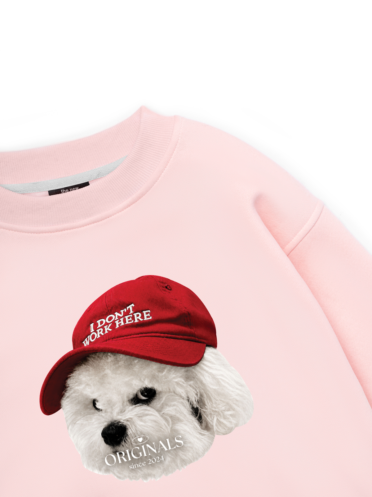 Puppy With Red Hat Sweater