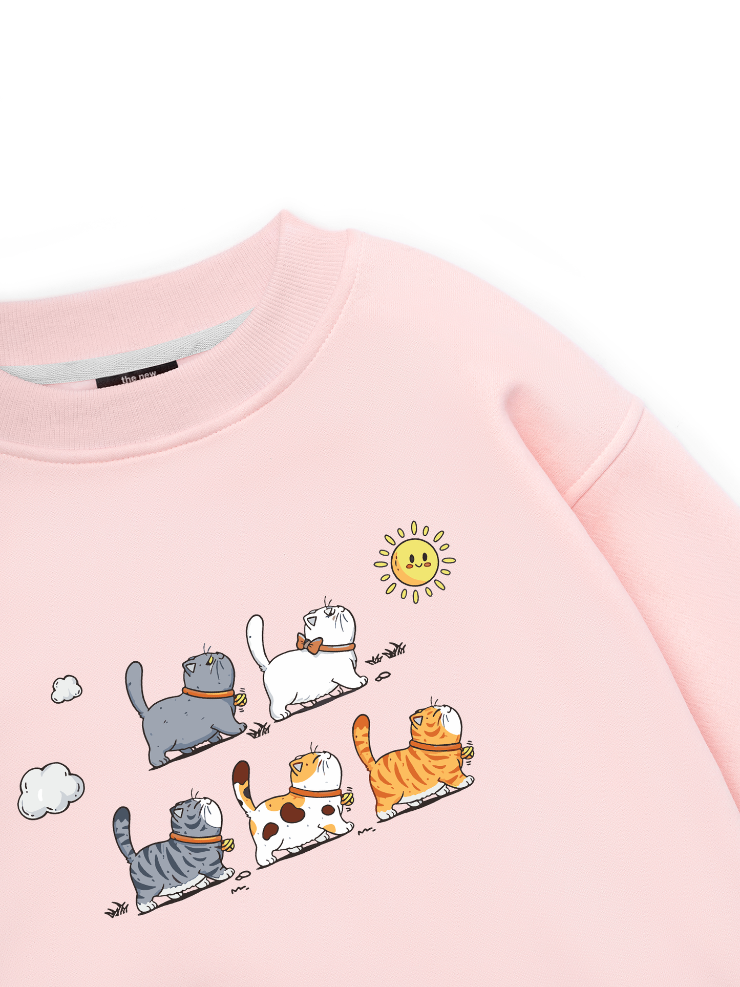 Cute Cat Go Outside Sweater