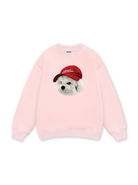 Puppy With Red Hat Sweater