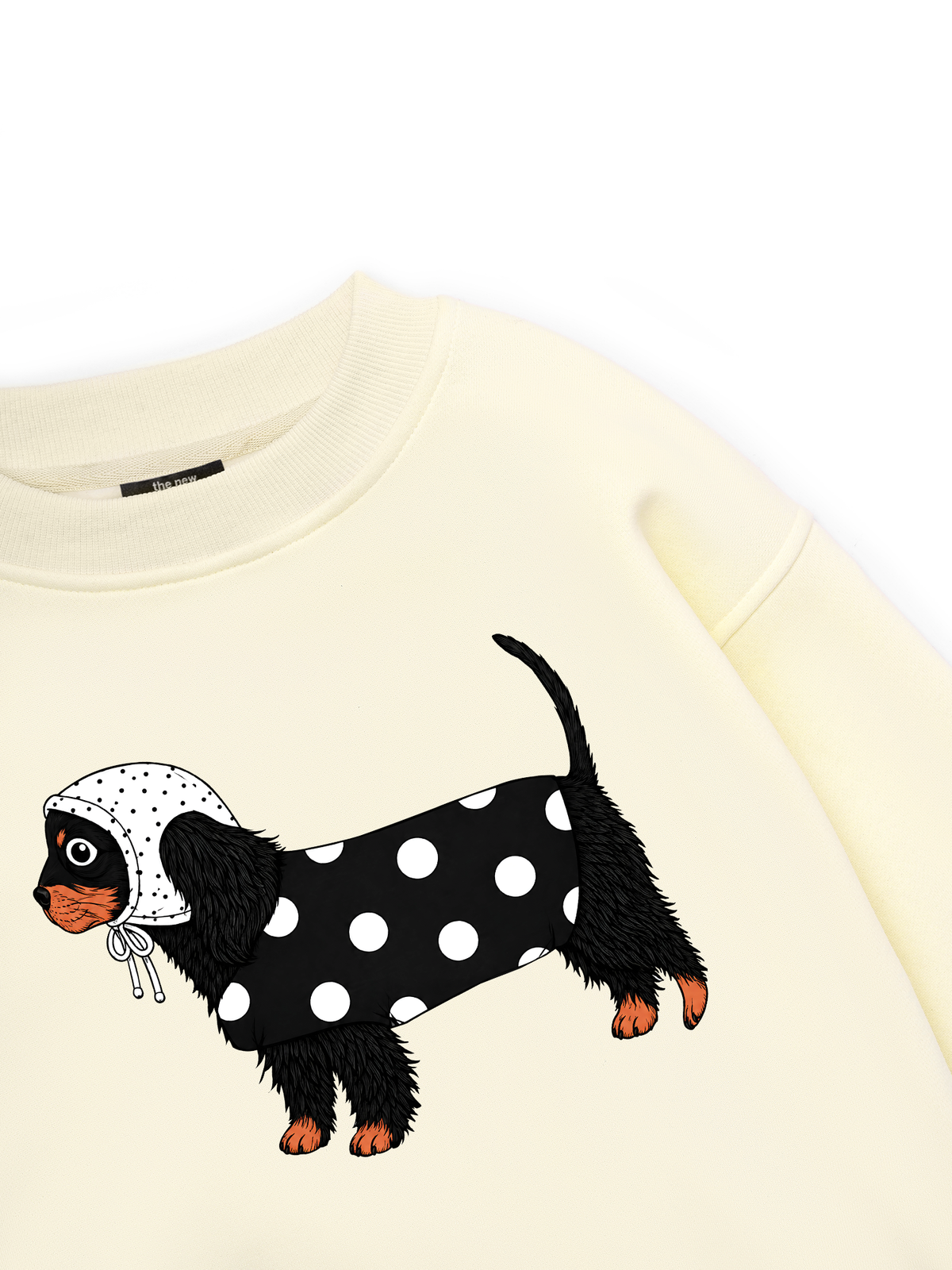 Cute Dotty Puppy Sweater