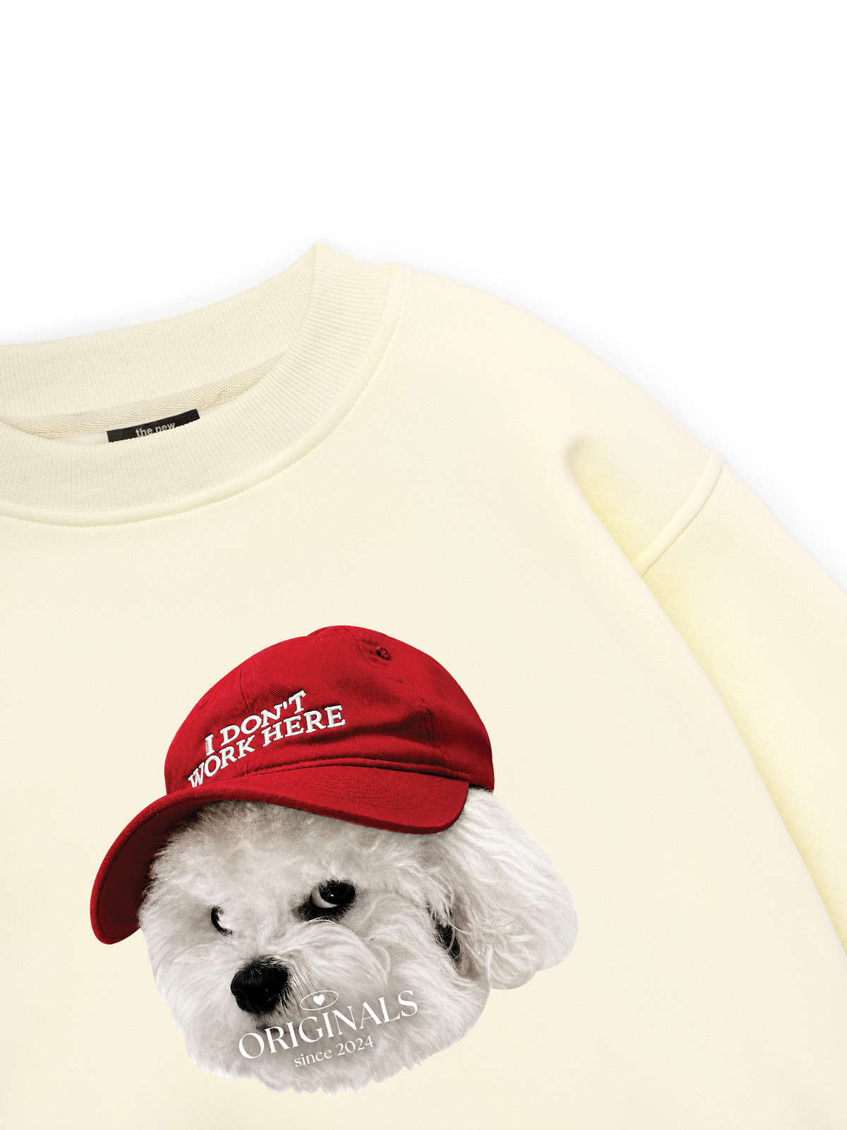 Puppy With Red Hat Sweater