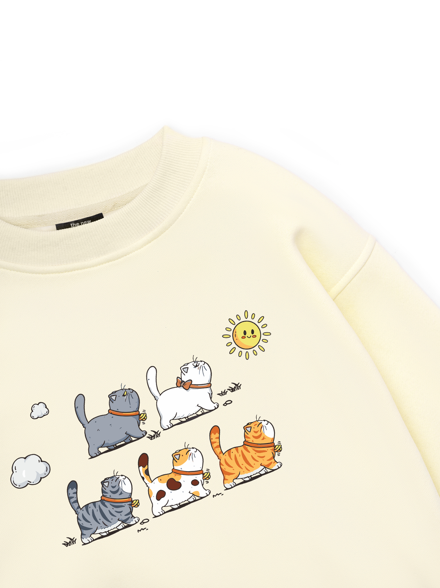 Cute Cat Go Outside Sweater