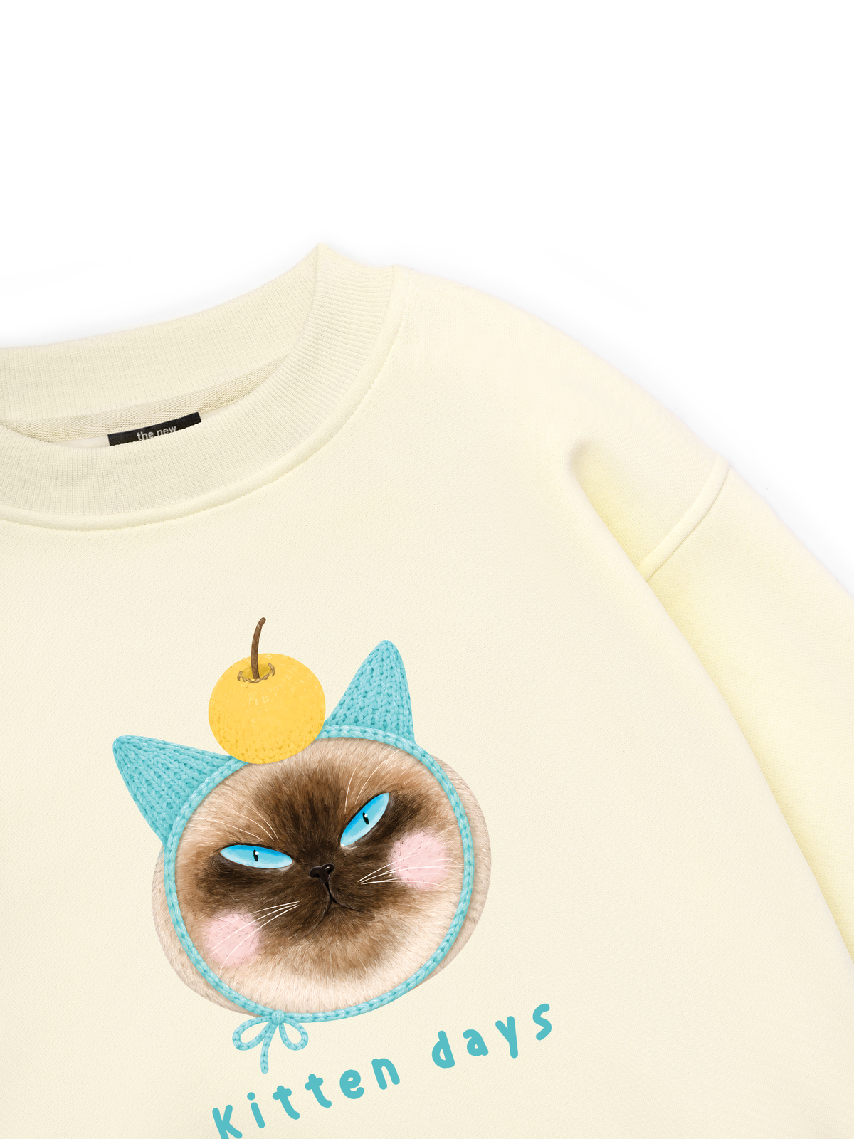 Kitten Days Sweater