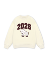 Cute Horse Brown Sweater