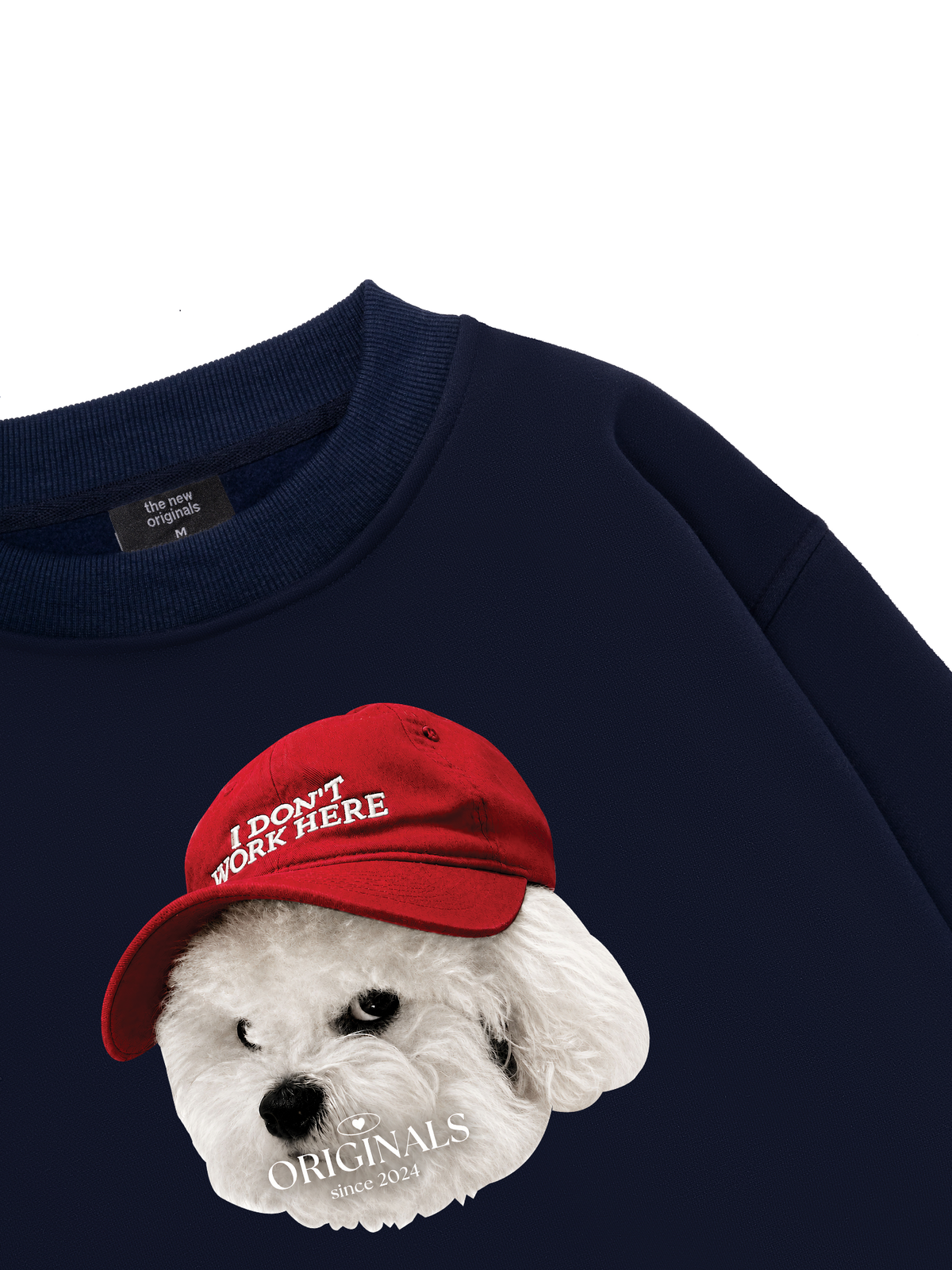 Puppy With Red Hat Sweater