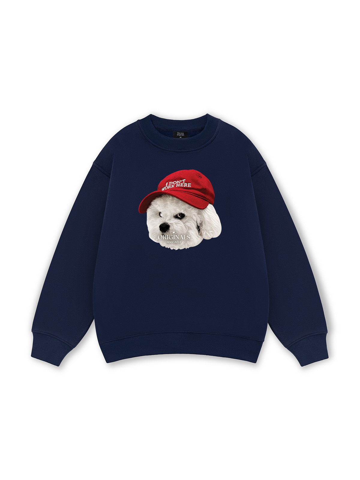Puppy With Red Hat Sweater
