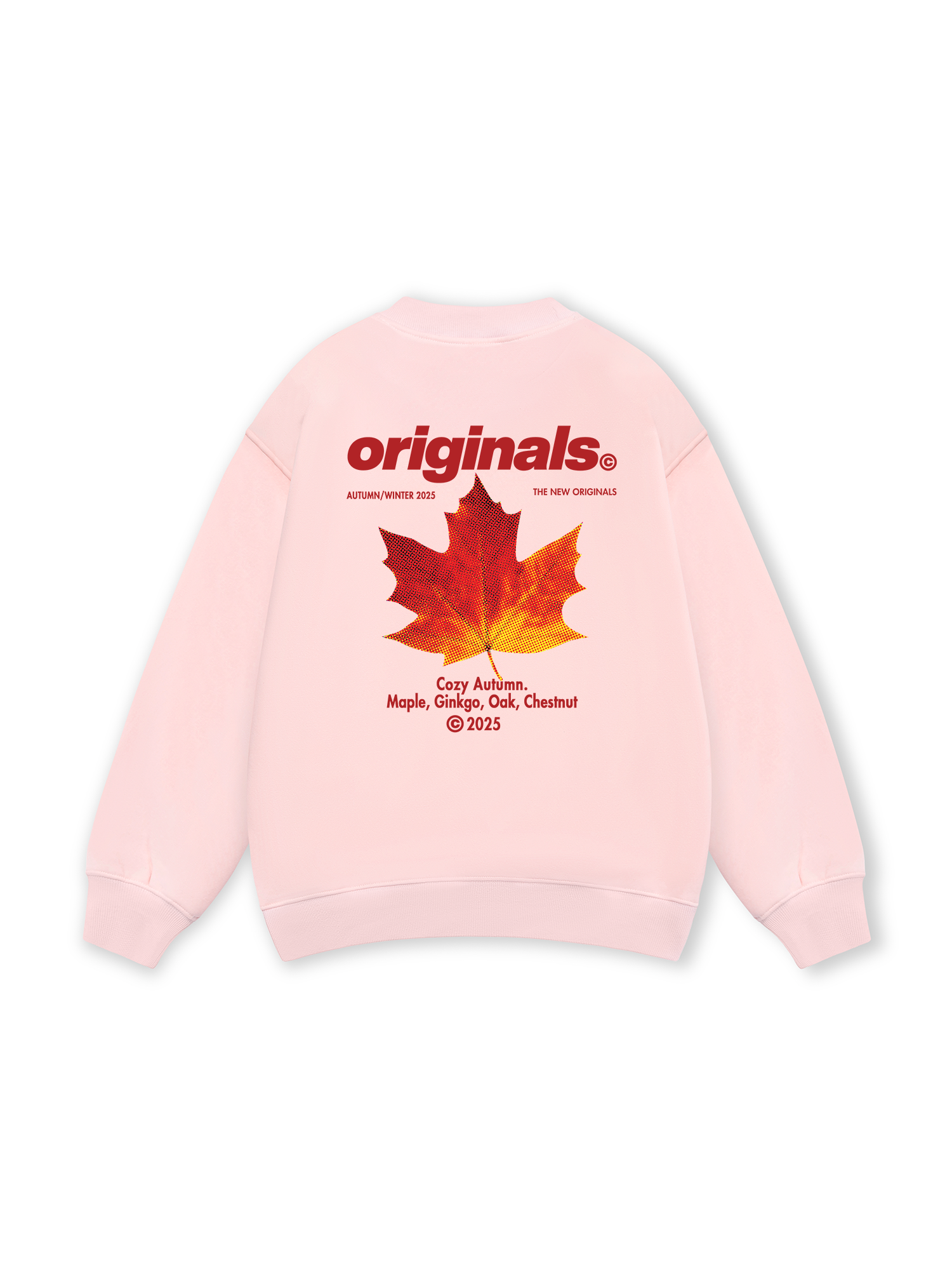 Cozy Autumn Sweater