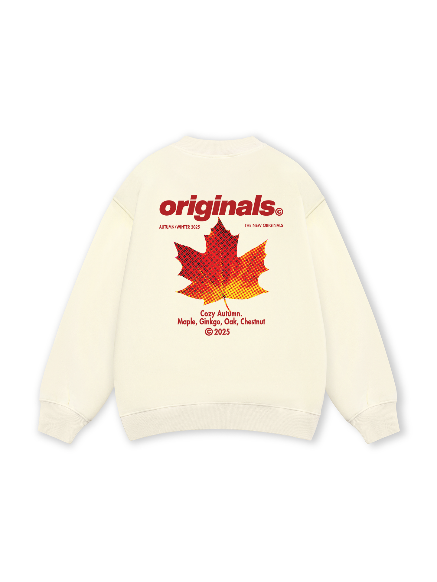 Cozy Autumn Sweater
