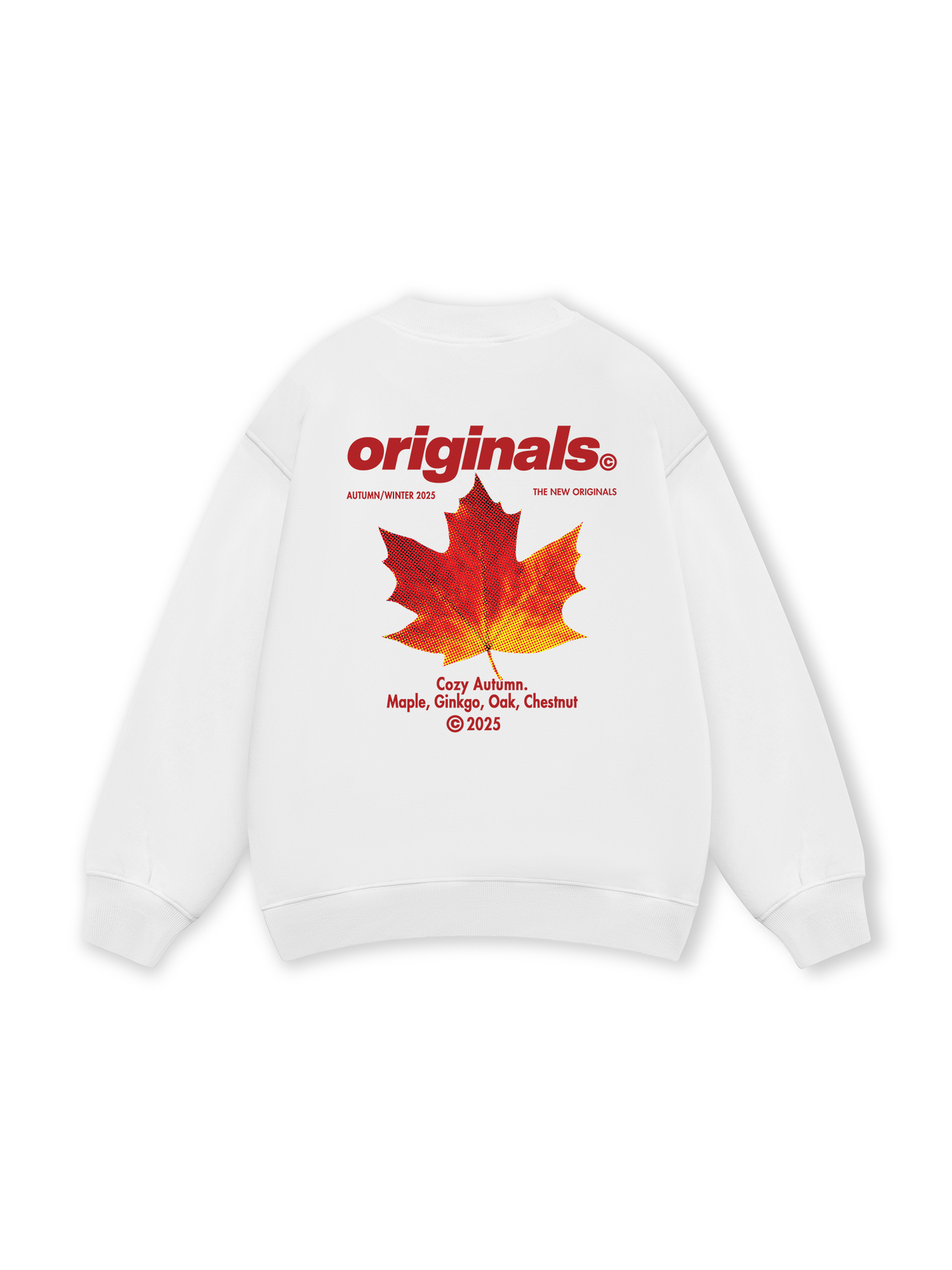 Cozy Autumn Sweater