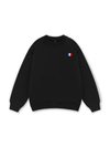 Paris Flag Sweater