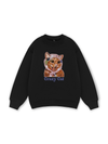 Crazy Cat Sweater