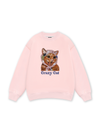 Crazy Cat Sweater
