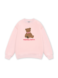 Mr Bear's Dream Sweater
