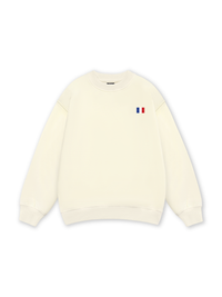 Paris Flag Sweater