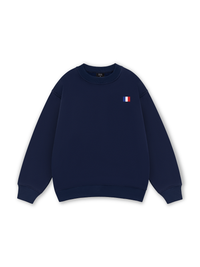 Paris Flag Sweater