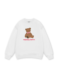 Mr Bear's Dream Sweater