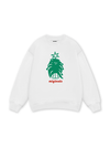 Soft Pine Sweater