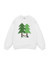 Let's Go Camping Sweater