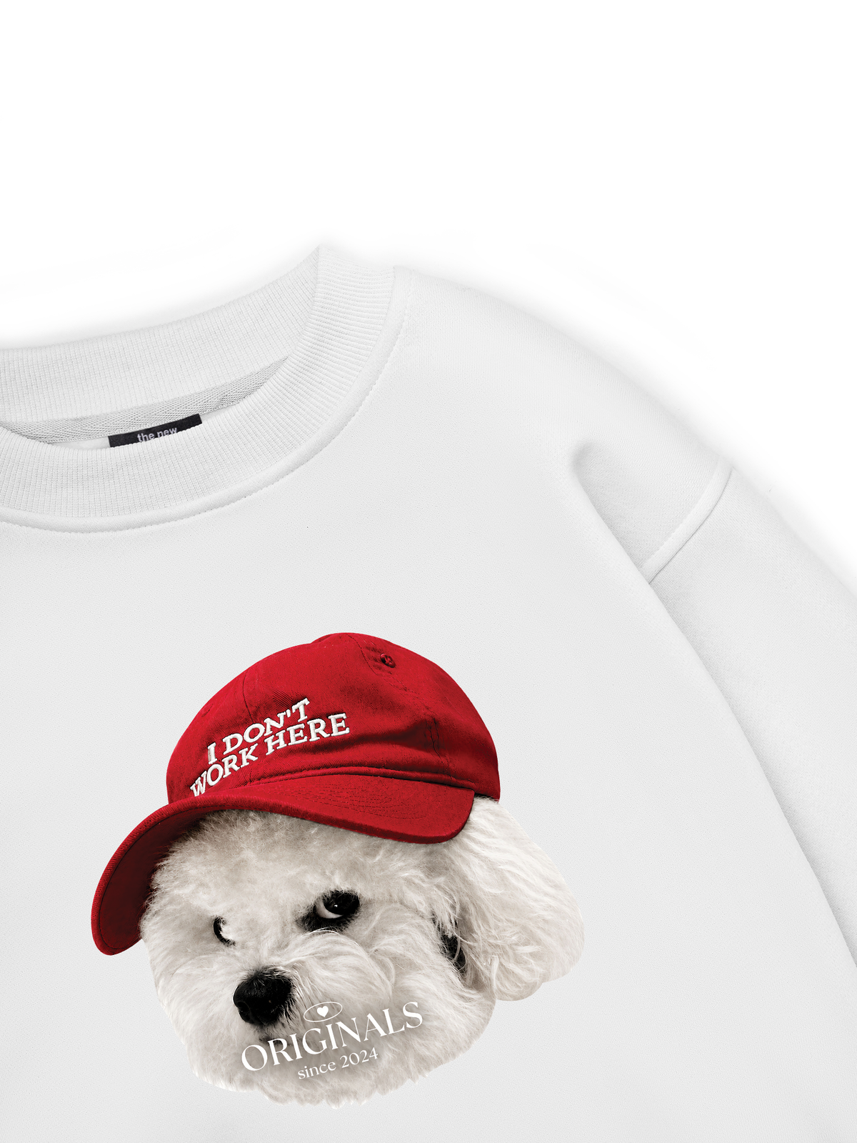 Puppy With Red Hat Sweater