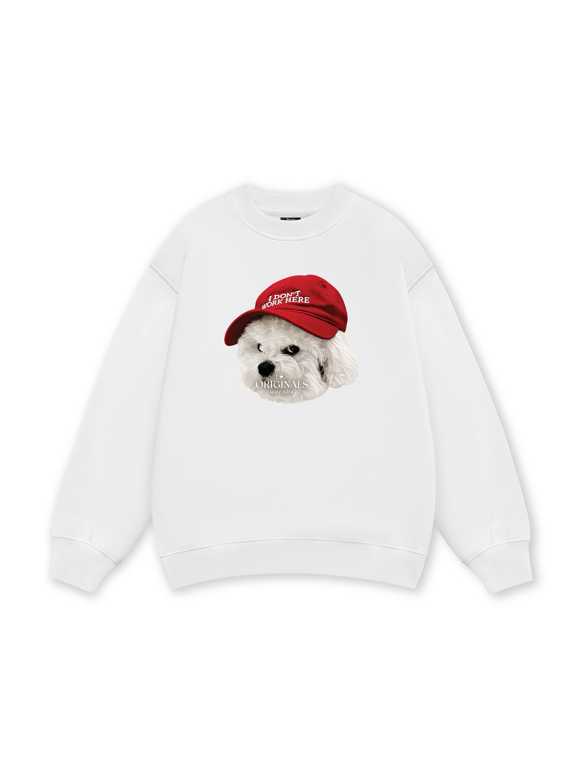 Puppy With Red Hat Sweater