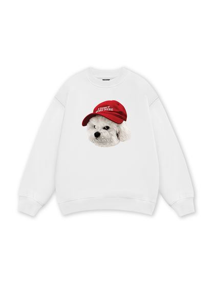 Puppy With Red Hat Sweater