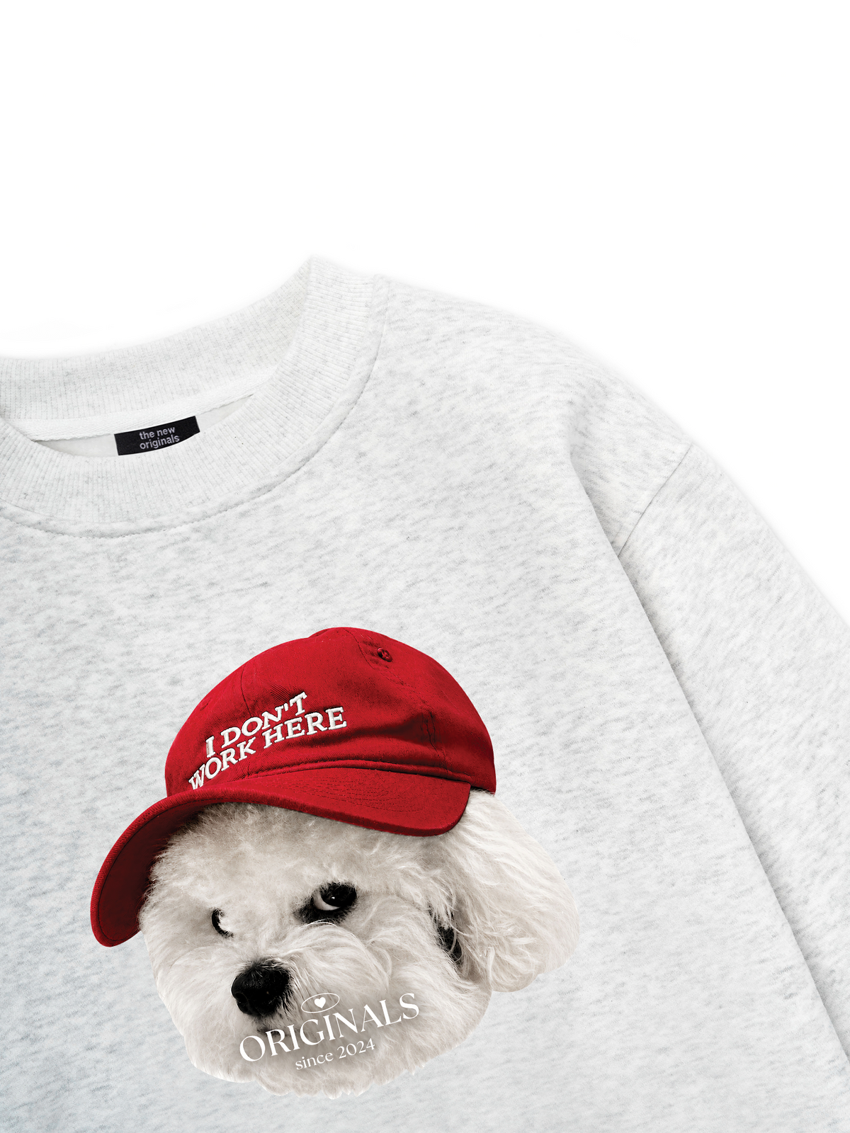 Puppy With Red Hat Sweater