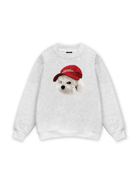 Puppy With Red Hat Sweater