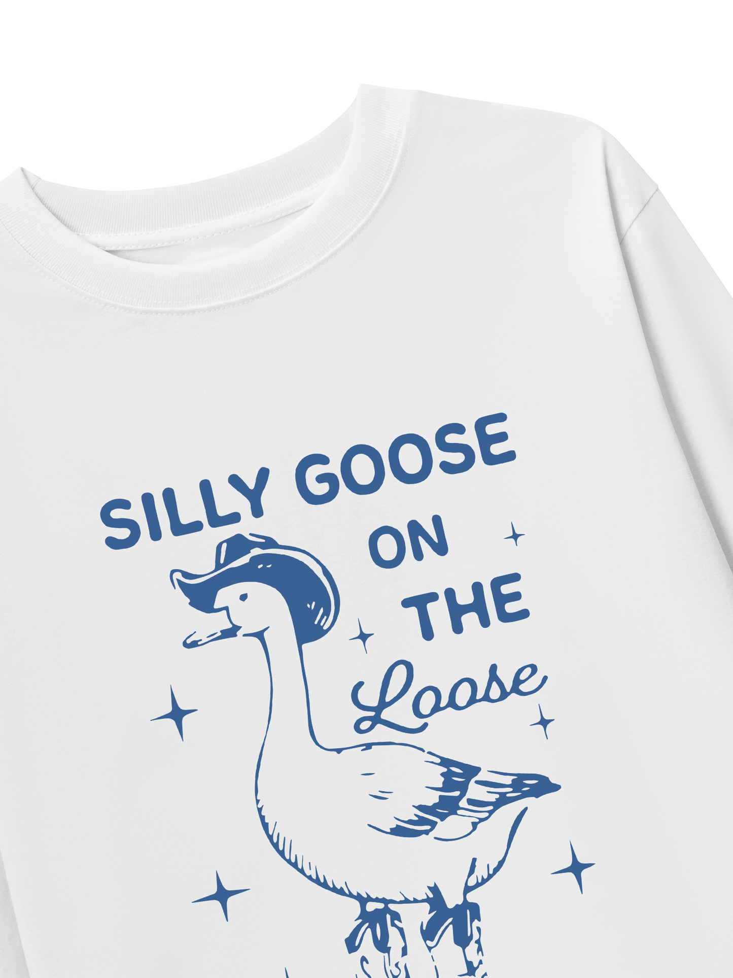 Áo Thun Dài Tay  Silly goose
