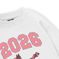 Color Drift Pony Sweater