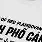 Áo Thun Relaxed Fit City Of Red Flamboyant
